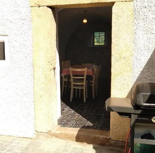 Kukacci Hnizdo